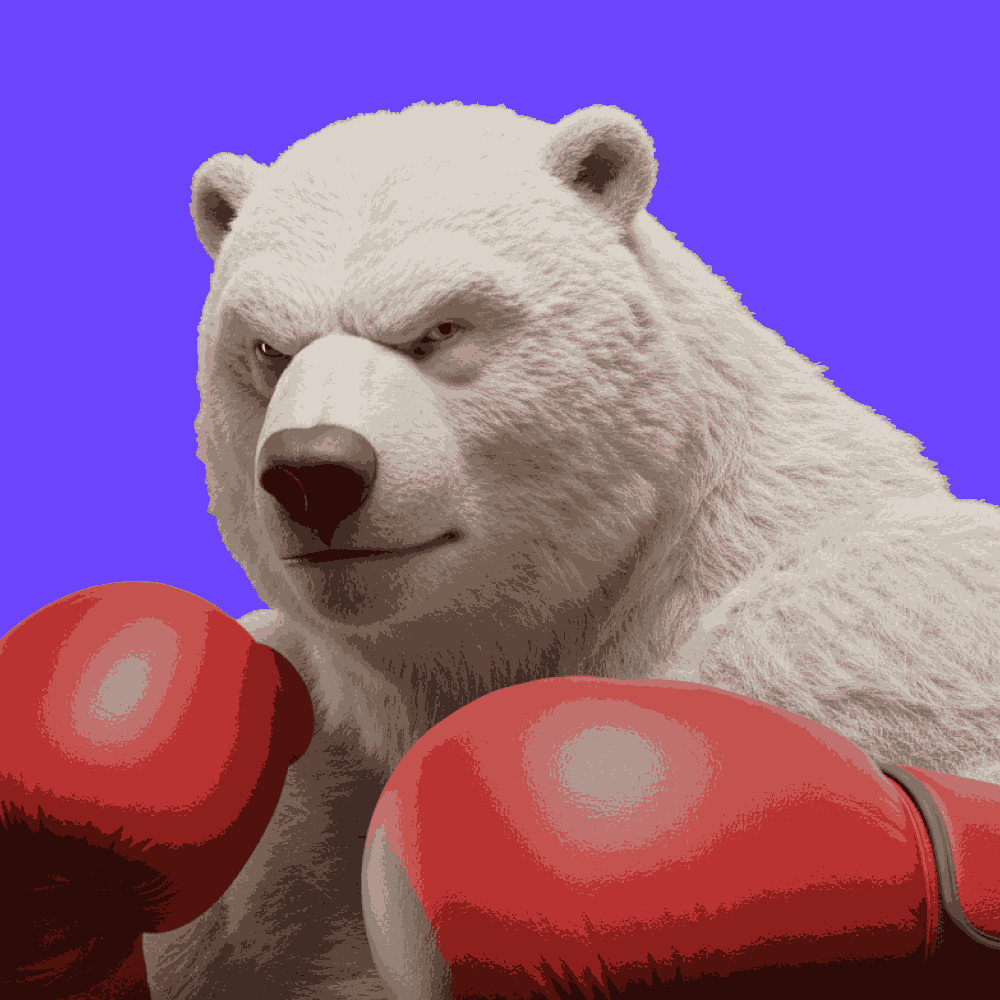 Boxing Bear from NG on Tango Live