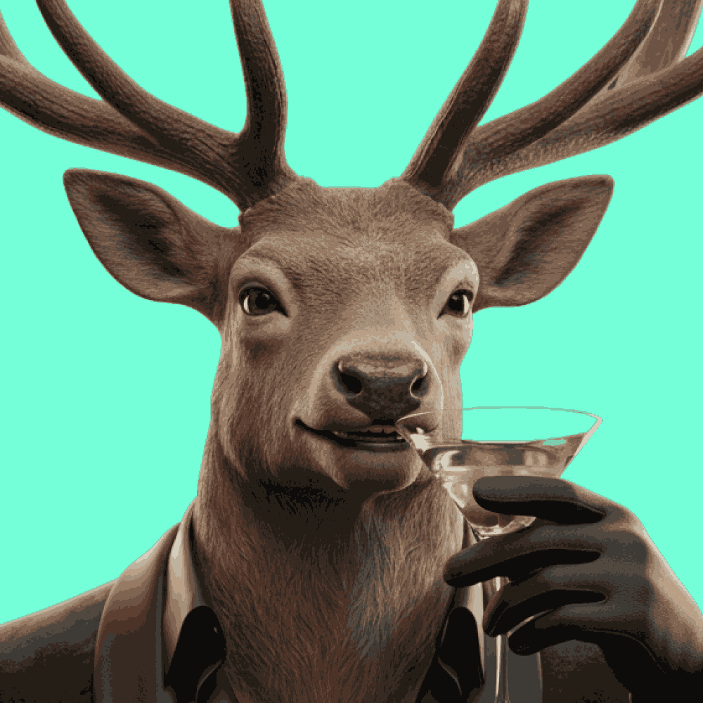 Party Stag from TR on Tango Live